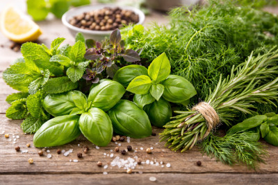 Herbs